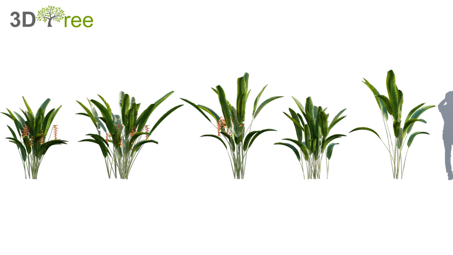 Collection 04 – Tropical Garden (3D Model) - 3DTree