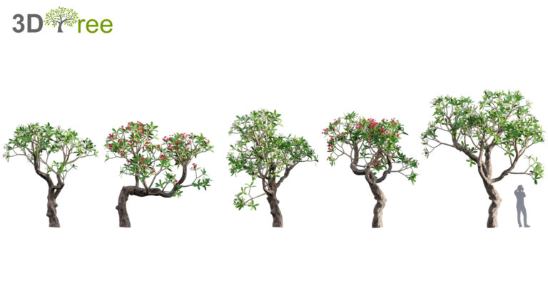 3dtree Collection 04 – Tropical Garden (3D Model) - 3DTree