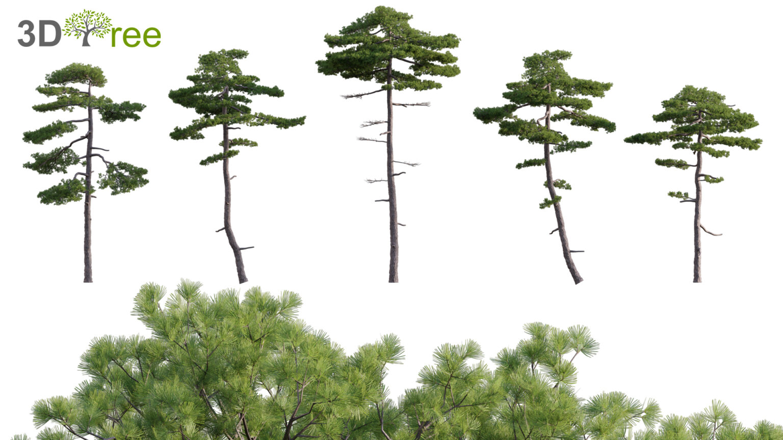 3dtree Collection 06 - Japanese Garden (3D Model) - 3DTree