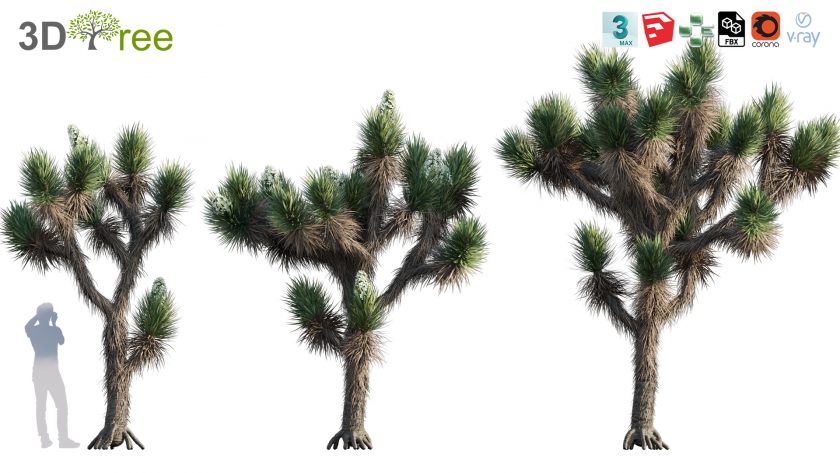 3dtree Collection 12 - Desert Garden (3D Model) - 3DTree