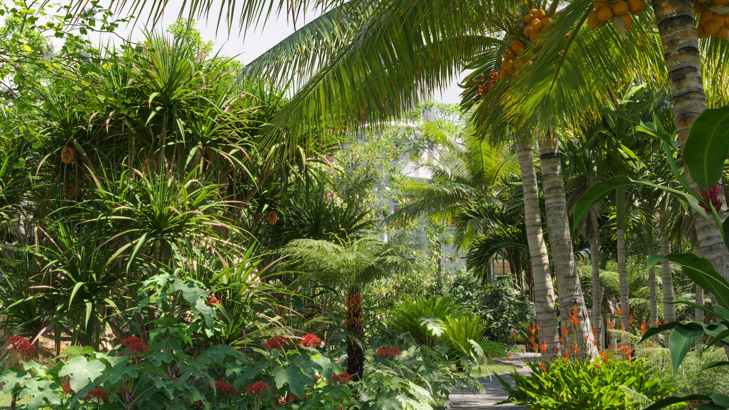 Collection 27 - Tropical garden