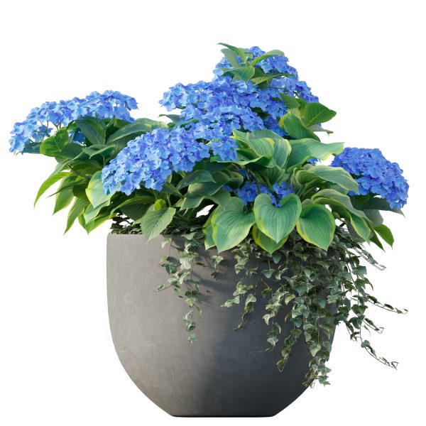 Pot Plant 03 (3D Model) - Image 3