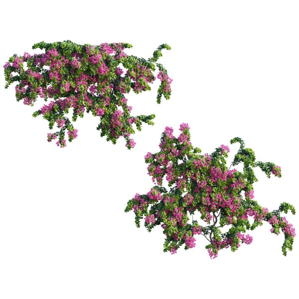 Bougainvillea – Paper Flower 04 (3D Model) - Image 2