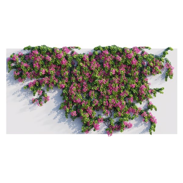 Bougainvillea – Paper Flower 04 (3D Model) - Image 3