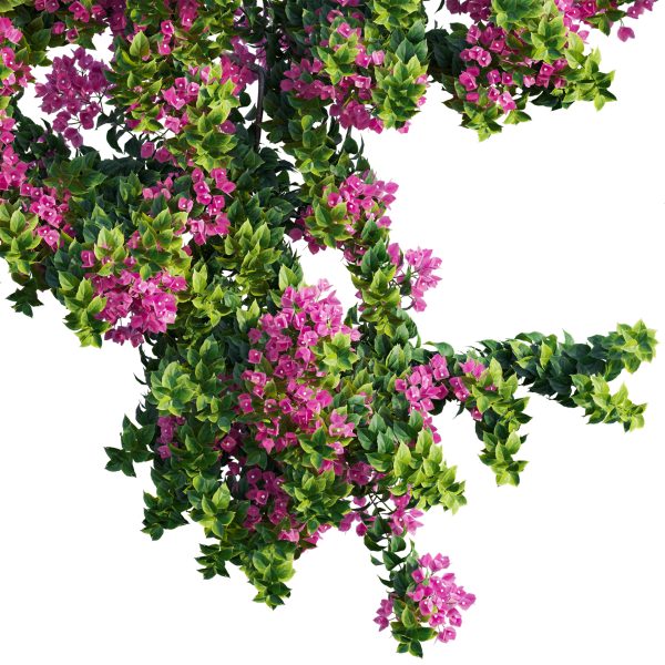 Bougainvillea – Paper Flower 04 (3D Model) - Image 4