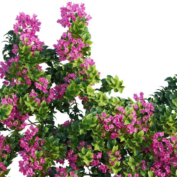 Bougainvillea – Paper Flower 04 (3D Model) - Image 5