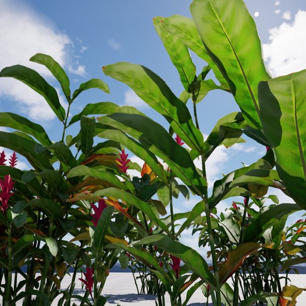 Alpinia purpurata - Red Ginger - Ostrich Plume (3D Model) - Image 6