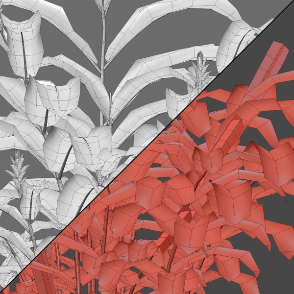Alpinia purpurata - Red Ginger - Ostrich Plume (3D Model) - Image 7