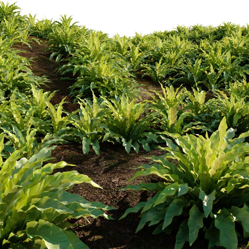 3D plant model for Unreal Engine