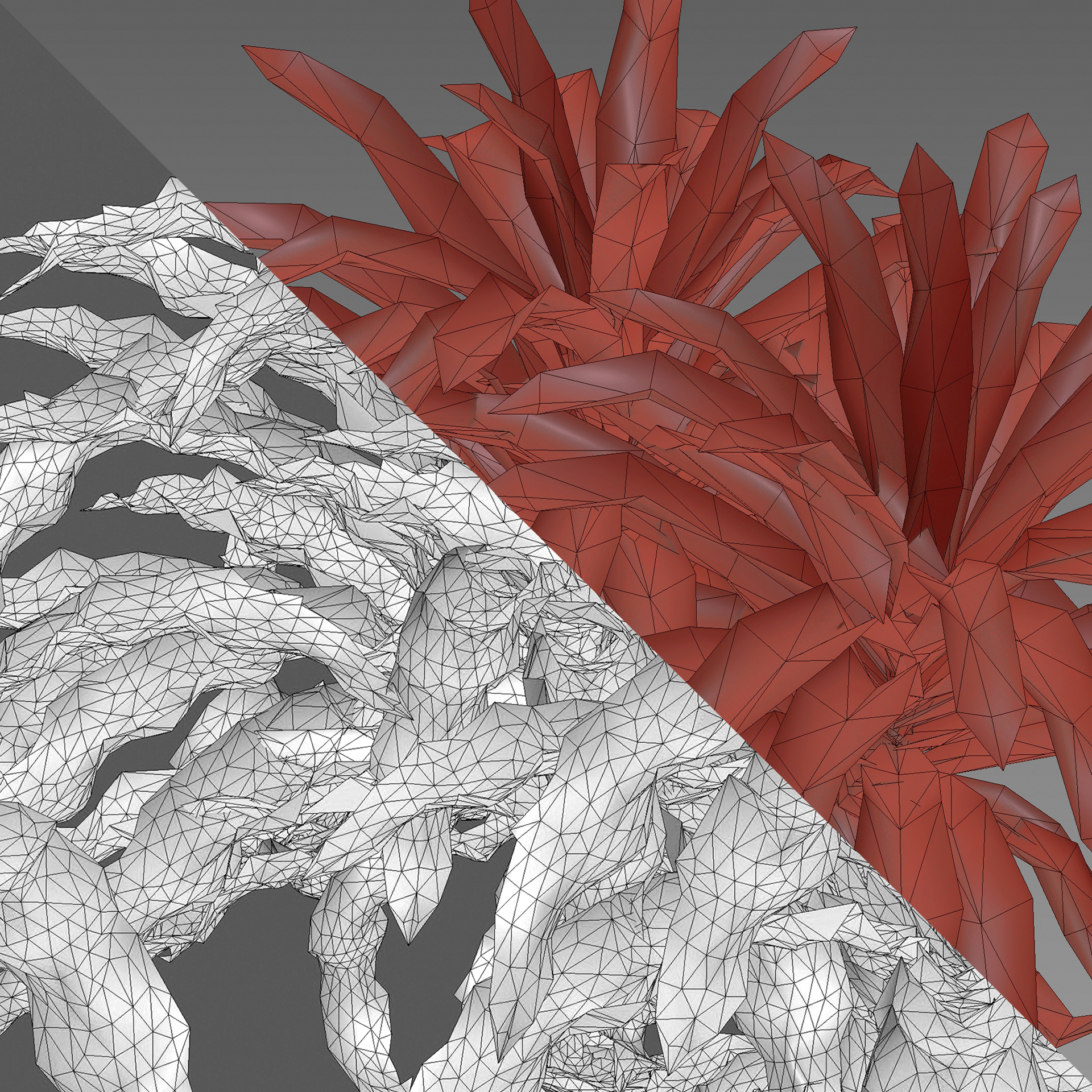 Asplenium nidus - Bird's nest fern - Spleenwort (3D Model) - Image 5