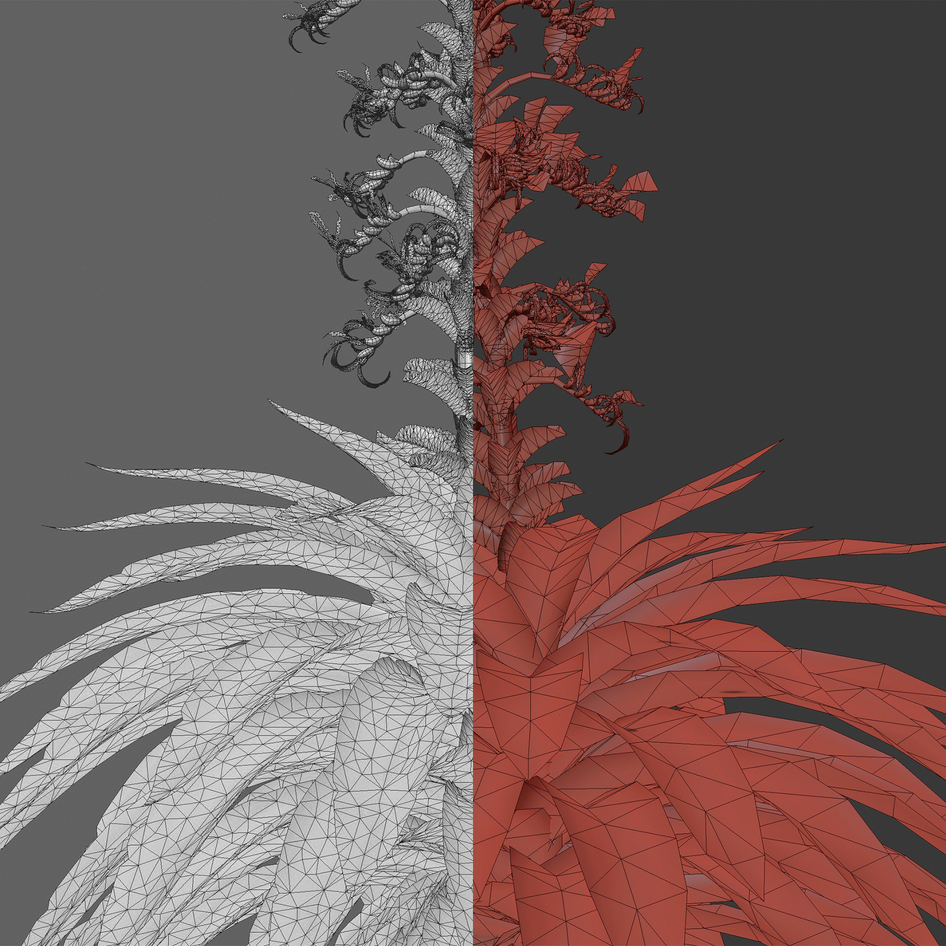 Alcantarea imperialis - Giant Bromeliad - Imperial Bromeliad 01 (3D Model) - Image 5