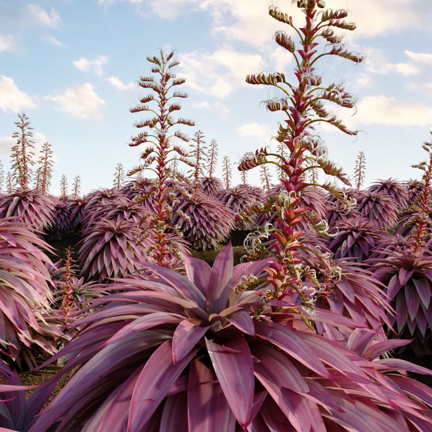 3d plant Unreal Engine