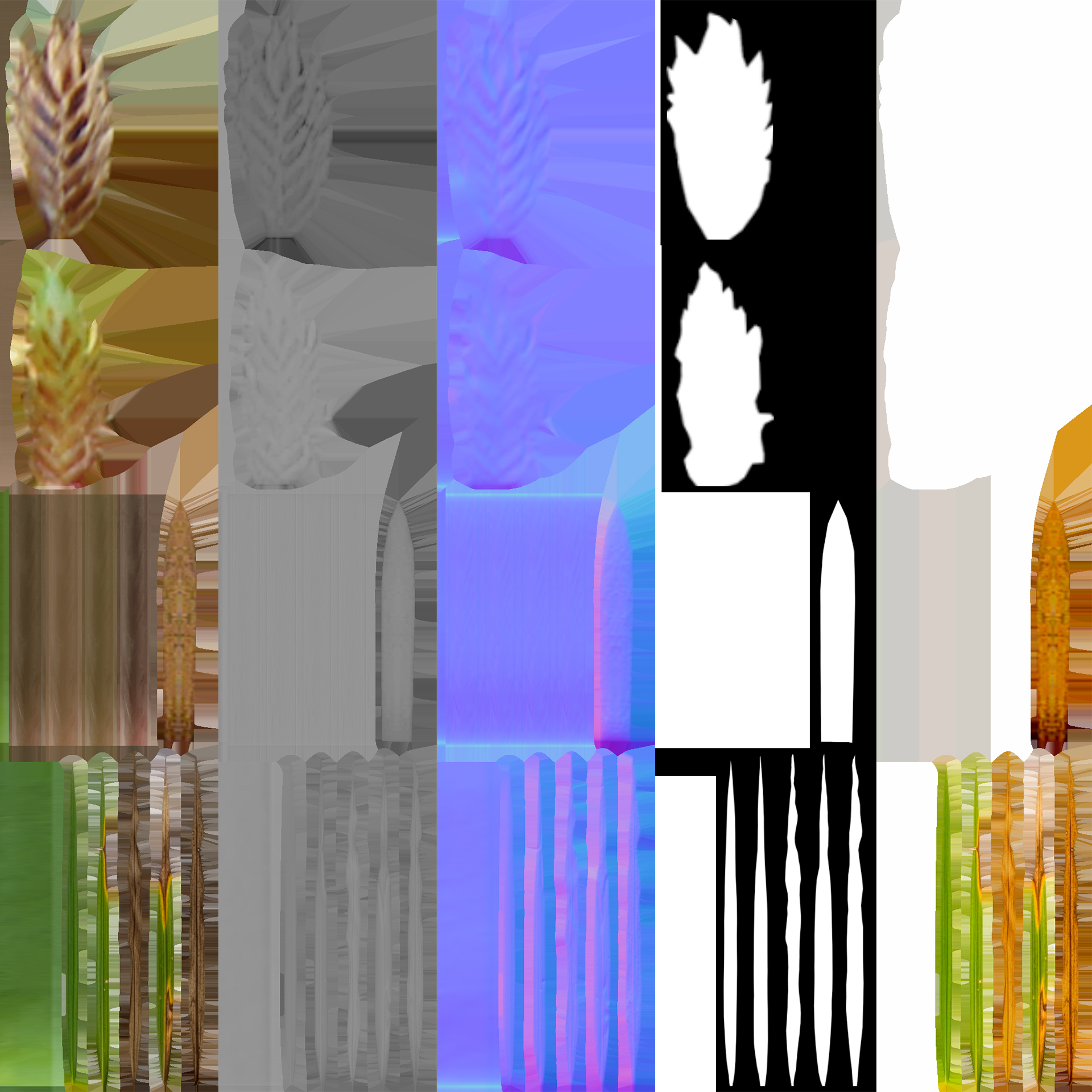 Cyperus alternifolius - Umbrella Plant (3D Model) - Image 6