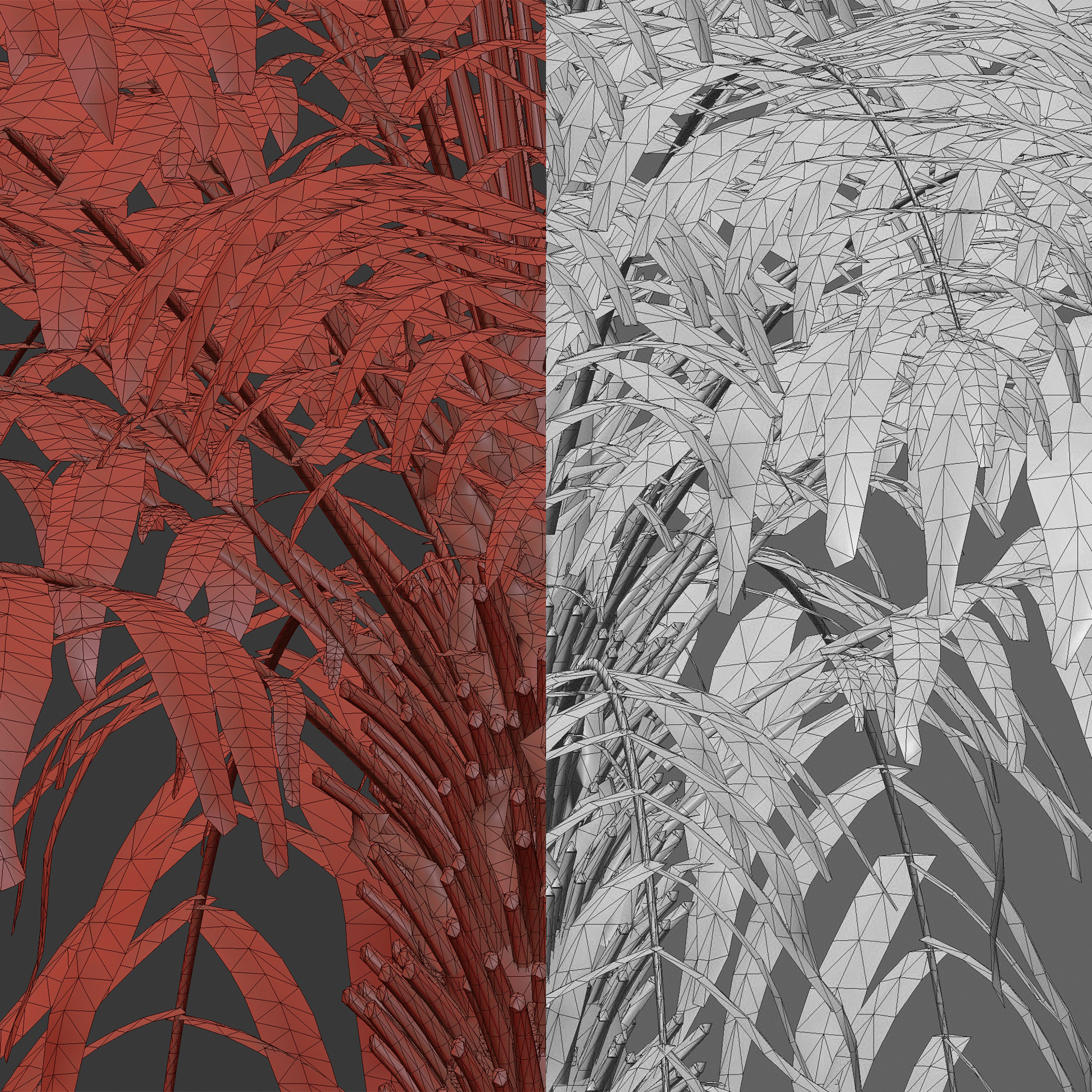 Dicksonia antarctica-Man Fern-Tasmanian Tree Fern (3D Model) - Image 4