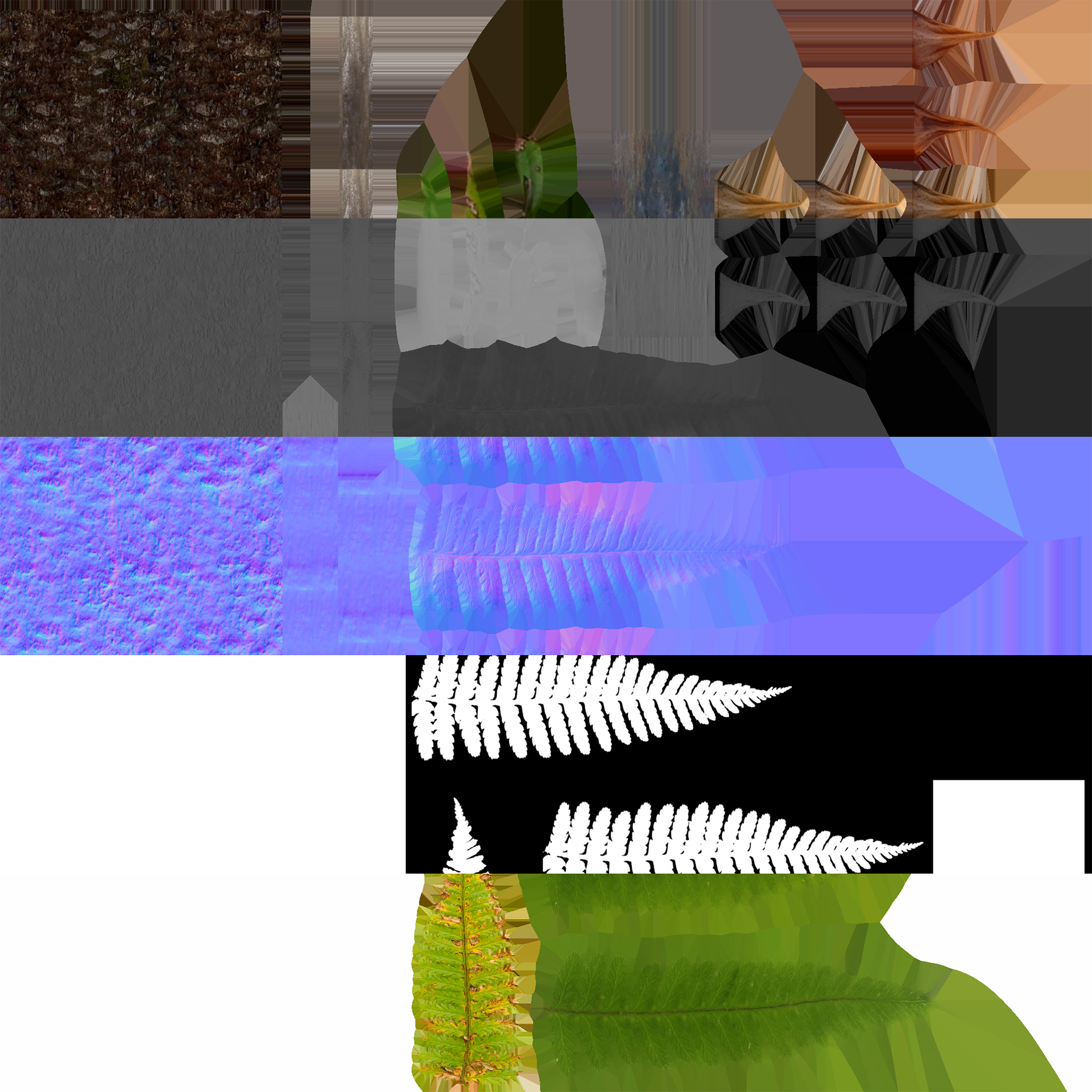 Dicksonia antarctica-Man Fern-Tasmanian Tree Fern (3D Model) - Image 5