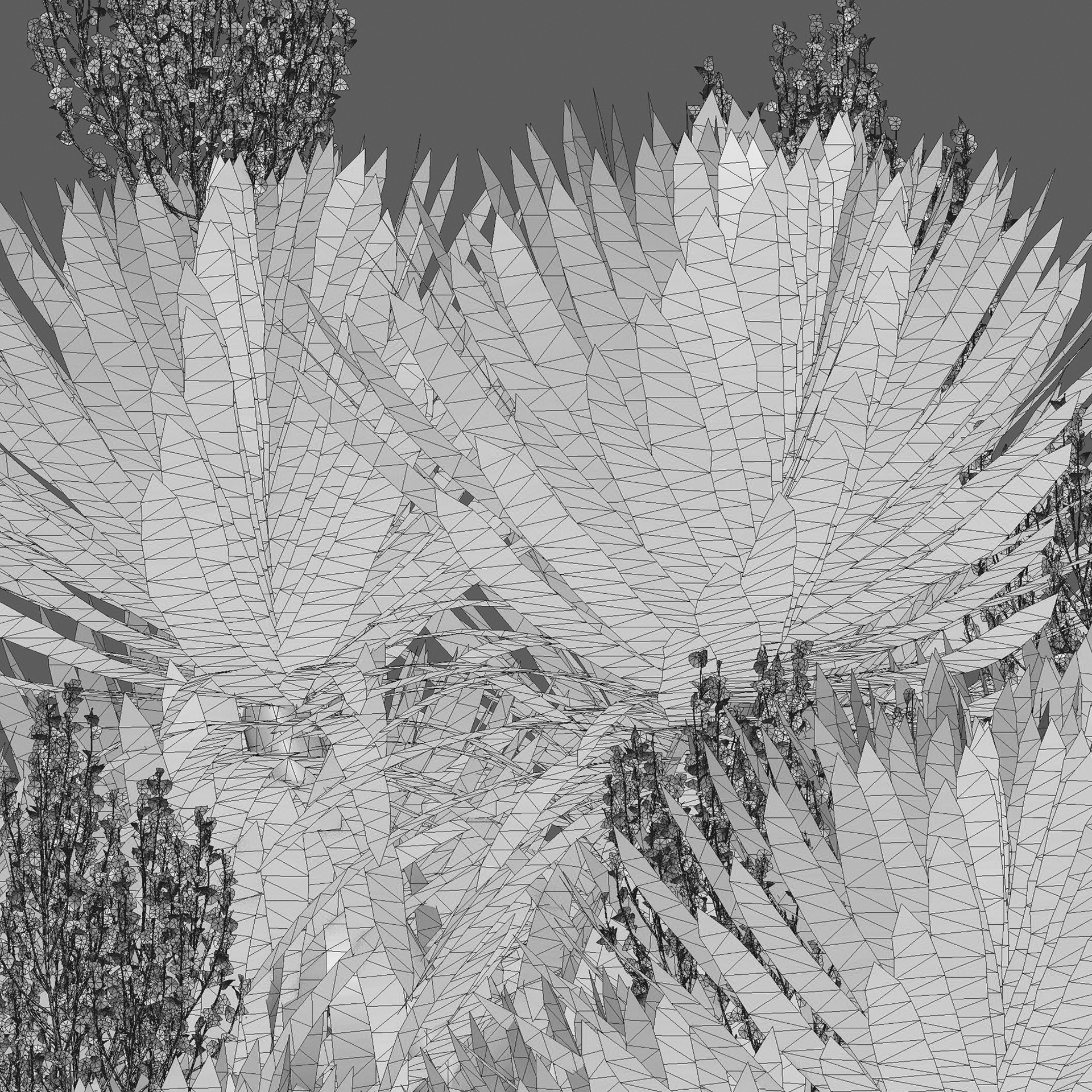 Dracaena cochinchinensis - Thai Dragon Tree (3D Model) - Image 5