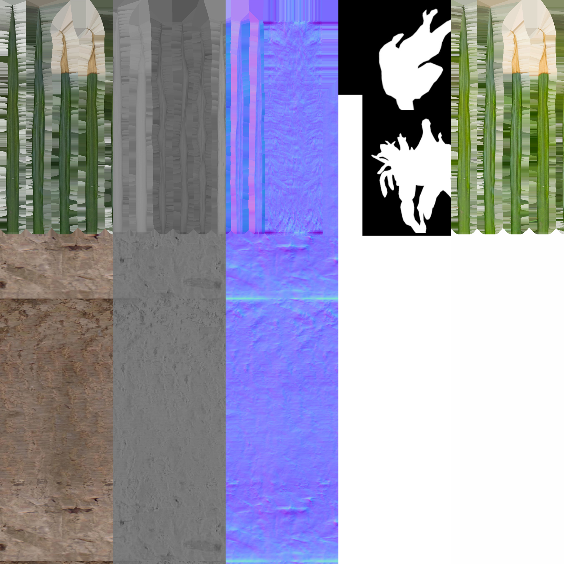 Dracaena cochinchinensis - Thai Dragon Tree (3D Model) - Image 6