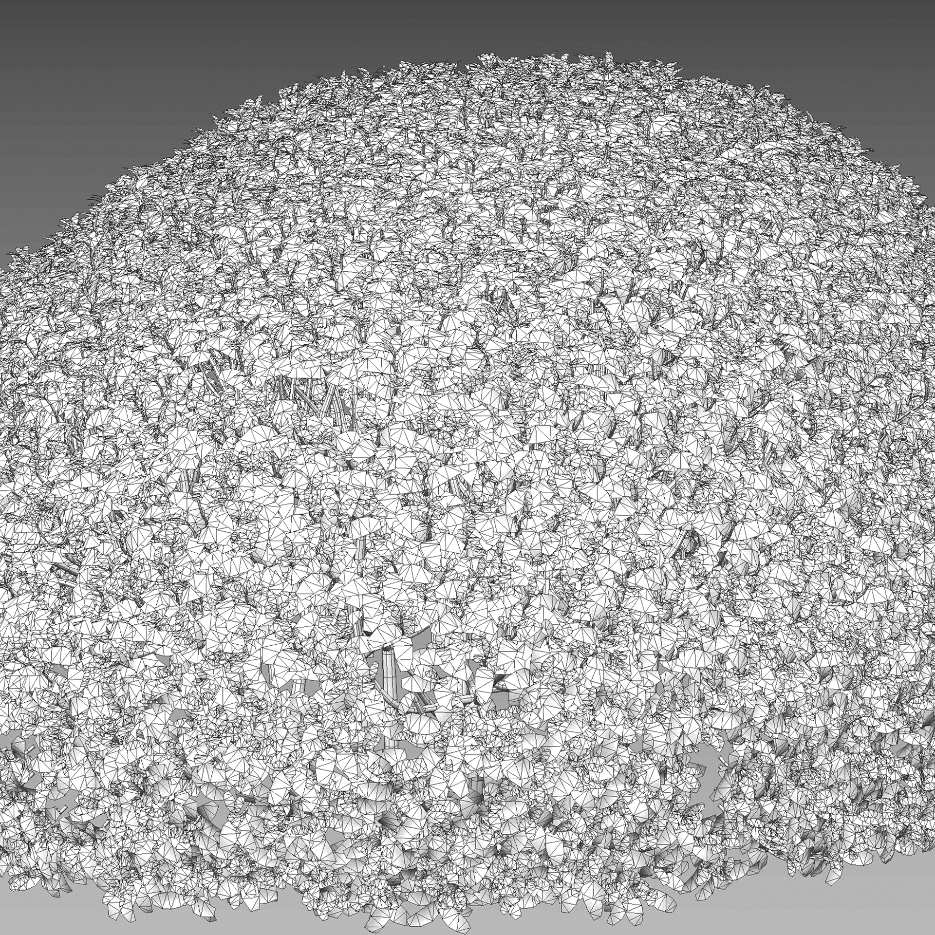 Buxus sempervirens - European box 02 - VFX (3D Model) - Image 4